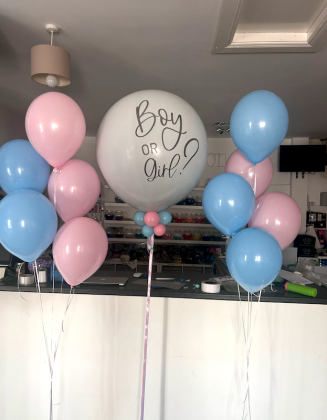 Gender Reveal Package
