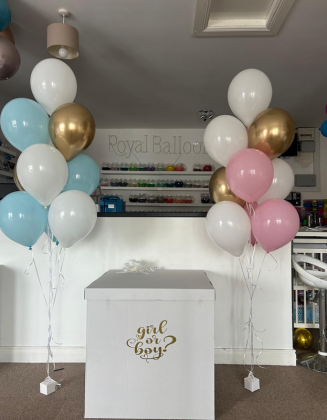 Gender Reveal Box