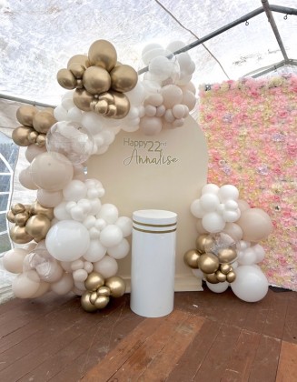 Birthday Backdrop organic