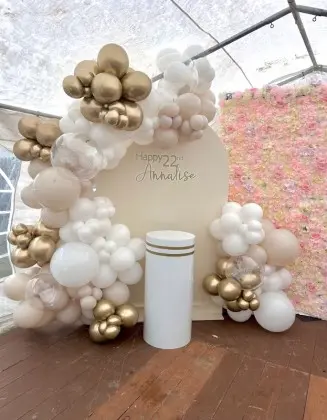 Birthday Backdrop organic