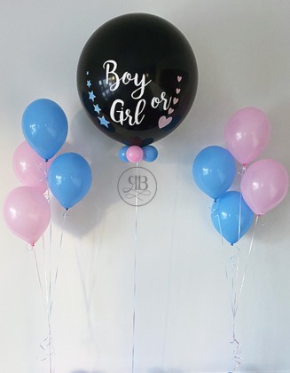 Gender Reveal Package