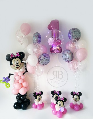 Minnie/ Mickey Package for Party