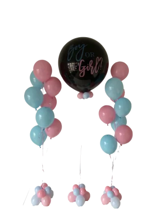Gender Reveal Package